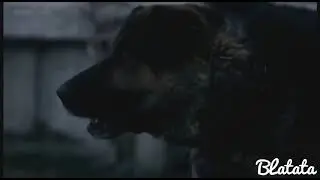 Трутень ✵ Зона комфорта ✵ VIDEOLENT RU