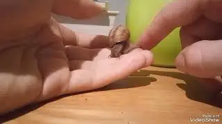 Поздраление с Новым годом! Итоги 2023, мои виды, планы на 2024.