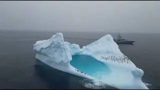 Imagine stumbling upon a penguin colony and their secret hide out on the way to Antarctica 🐧 🧊