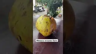 #зимовка #остров