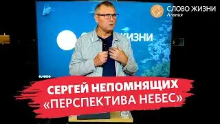 Сергей Непомнящих - Перспектива небес