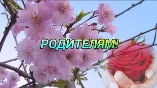 РОДИТЕЛЯМ!💞Благодарность Маме и Папе