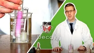 Decay - GCSE Biology Required Practical