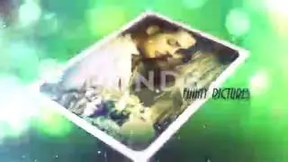 Royalty Free | After Effects Template | Brilliant Wedding
