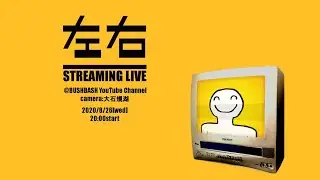 左右の映像ライブ