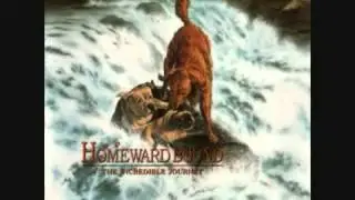 End Credits - A Homeward Bound The Incredible Journey OST