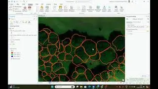 Create a central points under each polygon in ArcGIS Pro 