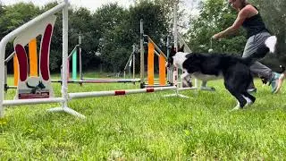 Improve top speed in agility