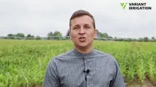Відгук про роботу дощувальних машин Variant Irrigation | ТОВ “Діброва