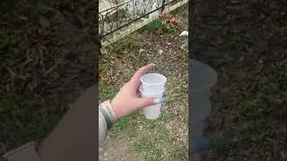 #погост