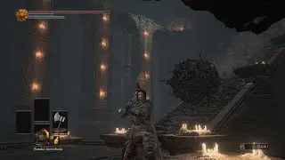 explorando las catacumbas de carthus- directo