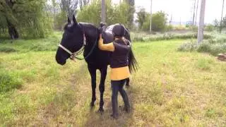 Как запрыгнуть на лошадь ^^ Обучалка ^^