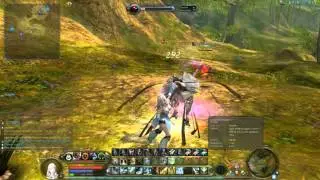 Играем за заклинателя. Элементаль огня 3 уровня/ Aion