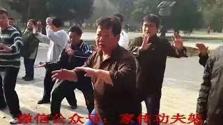 陈瑜老师讲第二金刚捣碓身法配合