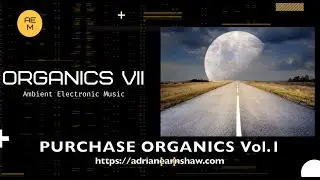 Organics VII - Electronic Music