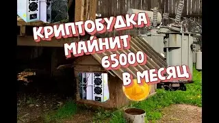 🤑Криптобудка майнит 65000💰 в месяц, а контейнер 670000! В гостях у подписчиков 7miners