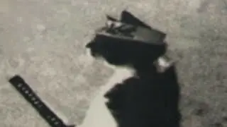 deus guh  - kazakov7210