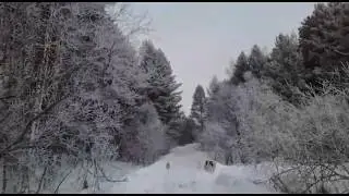 НАУРЫЗ! СЕВЕРСК РОССИЯ ВЕСНА!
