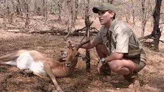 This Is Africa S6 E8: Dove on a Stick