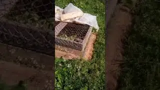 Самая простая клетка для подращивания цыплят
