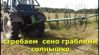 Сгребаем сено граблями 