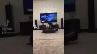 Битва бегемотов. 😂