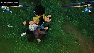 Gogeta VS Goku Black in Ranked: DRAGON BALL: Sparking! ZERO