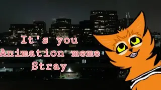 It's you! ♡ - Stray animation meme - WHITE BG VERSION