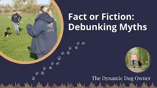 Fact or Fiction: Debunking myths