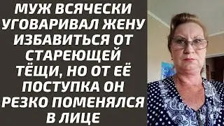 Жизненные истории: муж всячески уговаривал жену избавиться от стареющей тёщи, но от её поступка