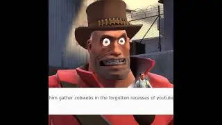 Reddit Moment 🤡 (TF2)