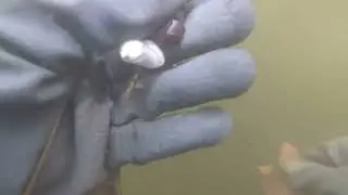 Водолаз нашёл в пруду слуховой аппарат