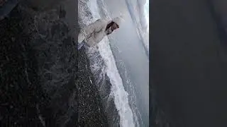 С  самолета в море 🤣23. 12.2020 г прилетели на новый год  в Сочи💦🏝️