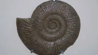 Ульяновский район