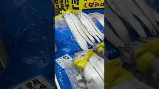 #강서수협 #수산시장 #유일수산 #보라네 #단골집 #생선가게 #정직 #친절 #깔끔 #fishmarket