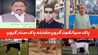 All About With Pakistani Bully Top Quality Animal World TV