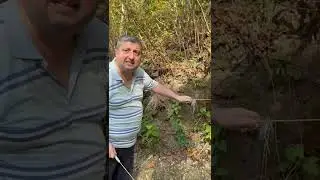 Define bulma teknikleri (aşırı bilgi içerir)
