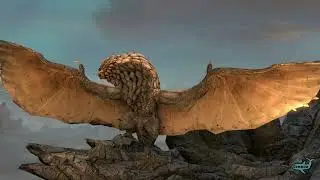 Bazelgeuse sunbathing
