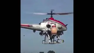 farming at chapper