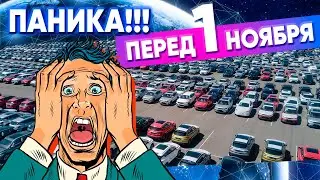 Паника в преддверии возможного повышения утилизационного сбора 1 ноября.