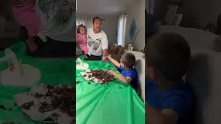 Back to School Surprise Gone Wrong! Brother Wrecks Sister’s Cake! #short #shorts