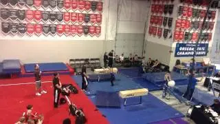 Kyle Jordan on Pommel/Mushroom--State 2015, Level 6 (7-8 yr olds)