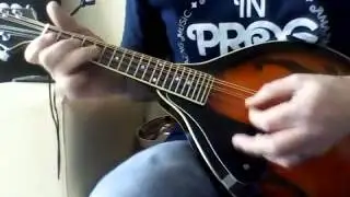 My Mandolin