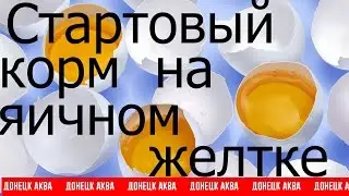 Amazing idea, Стартовый корм на яичном желтке, How to make fish food, cómo hacer alimento para peces