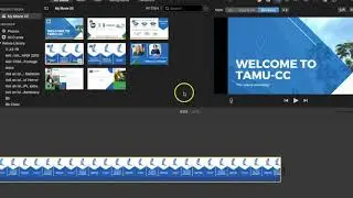 From Canva to iMovie