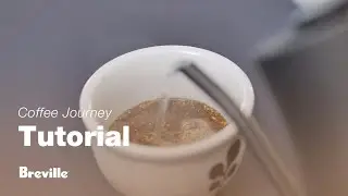 Coffee Tutorials | Explore the endless tastes and flavors of coffee | Breville USA