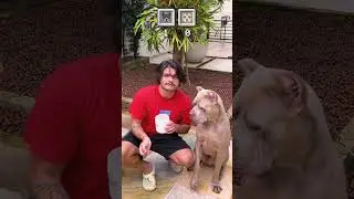 QUAL DO MEUS CACHORROS É O MELHOR?! 