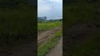 Бухта Астафьева