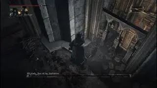 Bloodborne™ noice