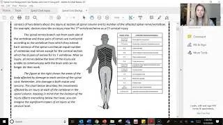 Spinal Cord Injuries - Instructions for 12.3.20
